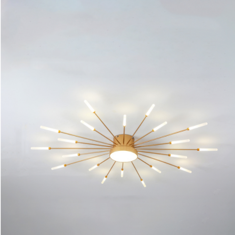 Lowry Modern Home Decoration Fireworks LED Ceiling Light