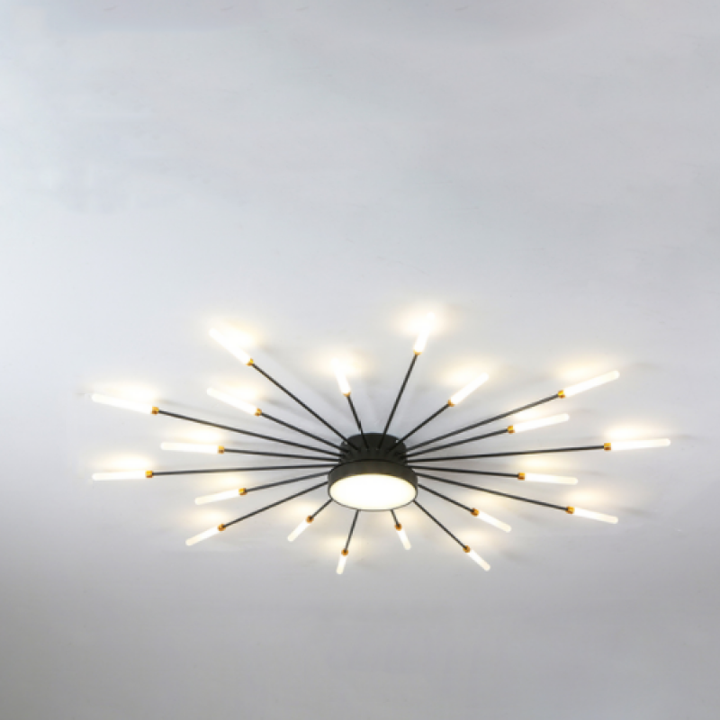 Lowry Modern Home Decoration Fireworks LED Ceiling Light