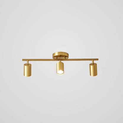 Haney Modern Ceiling Light Spotlight Cast 3 Color 3/4/5/6 Head