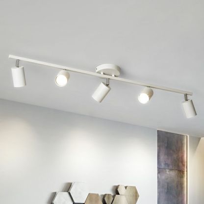 Haney Modern Ceiling Light Spotlight Cast 3 Color 3/4/5/6 Head