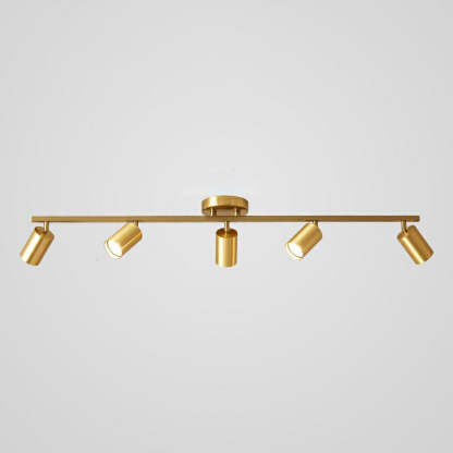 Haney Modern Ceiling Light Spotlight Cast 3 Color 3/4/5/6 Head