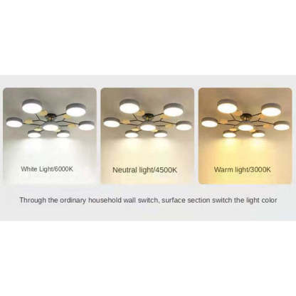 Sienna Ceiling Light, 4/5/6/7 Head