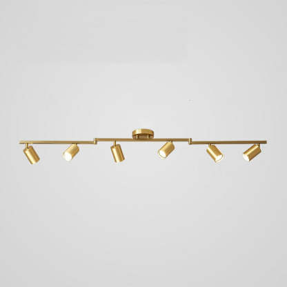 Haney Modern Ceiling Light Spotlight Cast 3 Color 3/4/5/6 Head