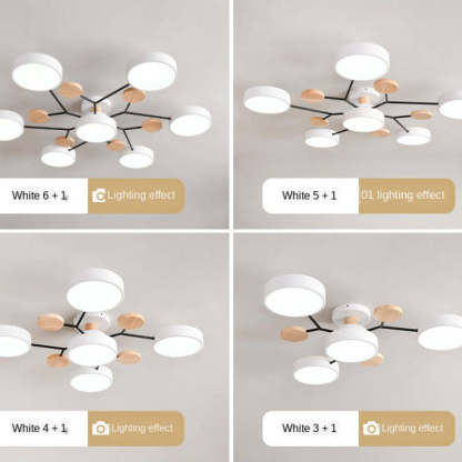 Sienna Ceiling Light, 4/5/6/7 Head