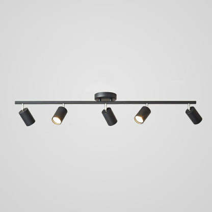 Haney Modern Ceiling Light Spotlight Cast 3 Color 3/4/5/6 Head