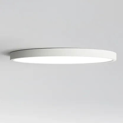 Quinn Thinnest Round Acrylic Ceiling Light Hallway Bedroom