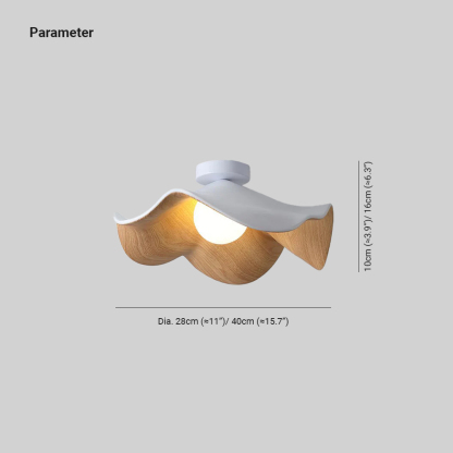 Carins Ceiling Light Dimensions and Specifications