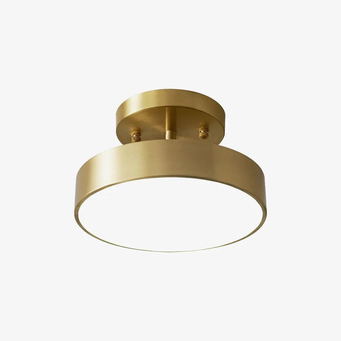 Edge Industrial Round Metal Acrylic Brass Ceiling Light Living Room Hallway