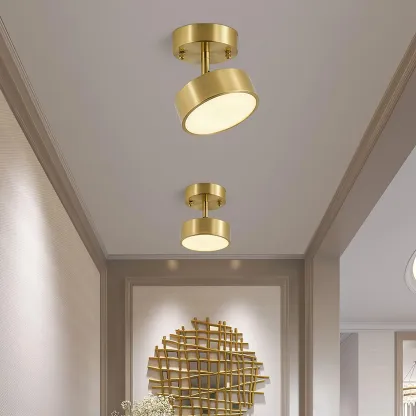 Edge Minimalism Round Metal Acrylic Brass Ceiling Light Living Room Hallway