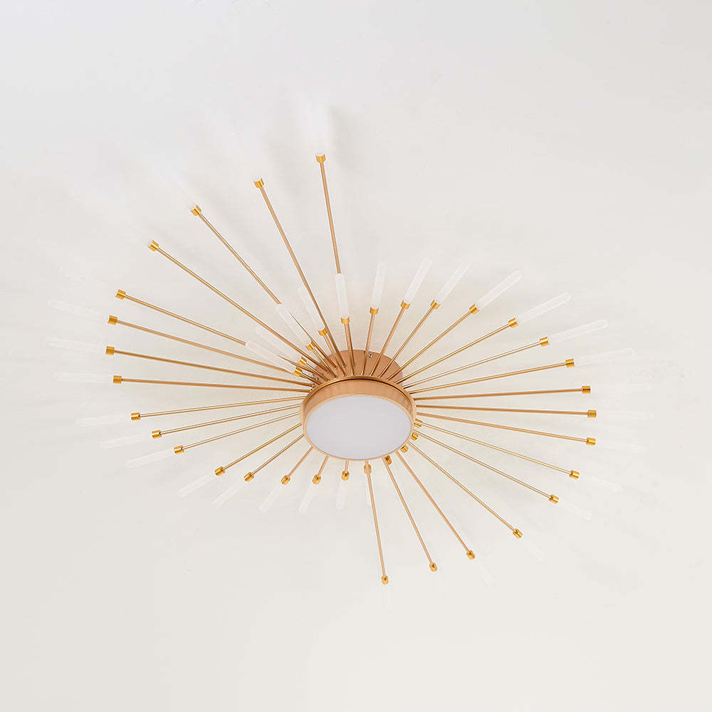 Lowry Modern Home Decoration Fireworks LED Ceiling Light