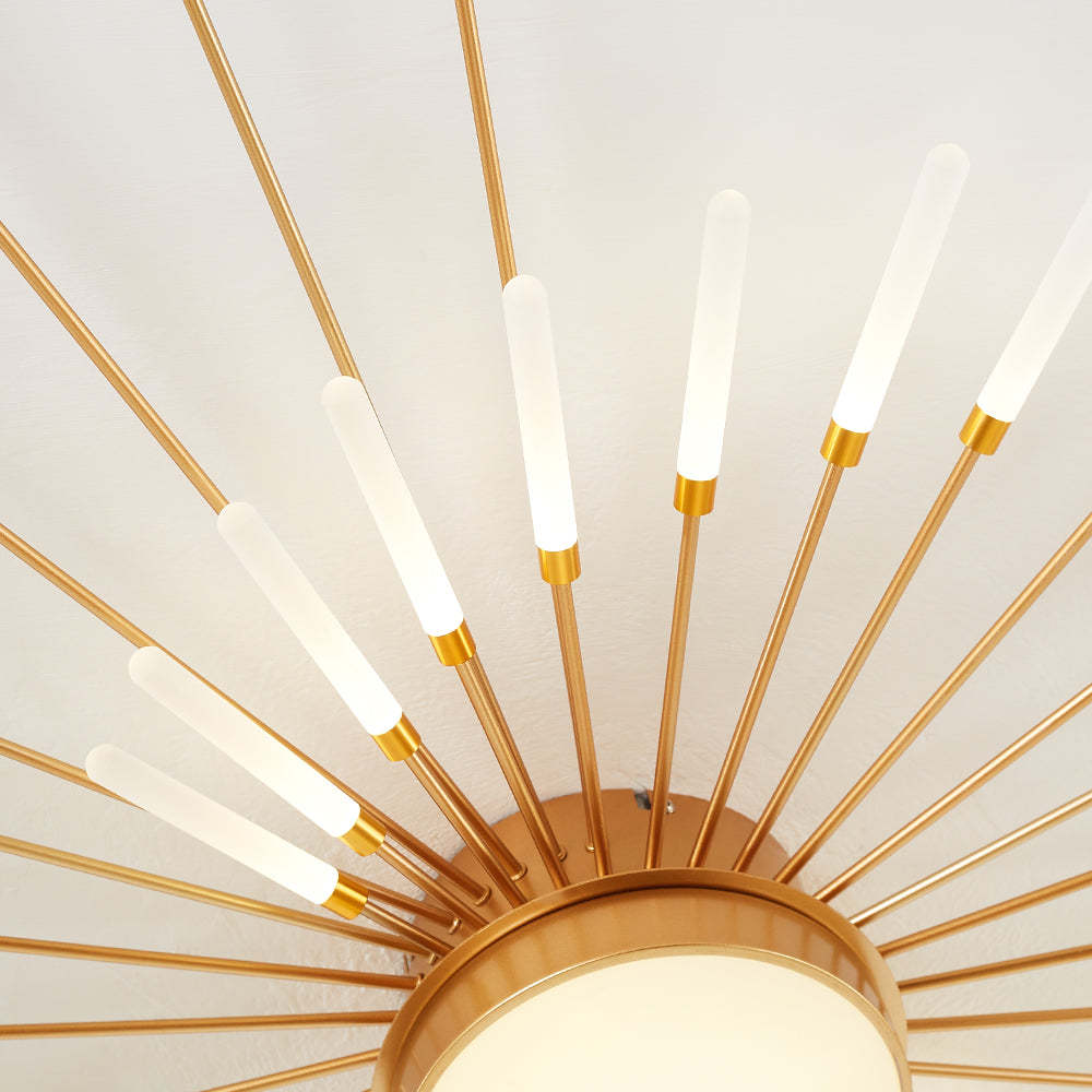 Lowry Modern Home Decoration Fireworks LED Ceiling Light