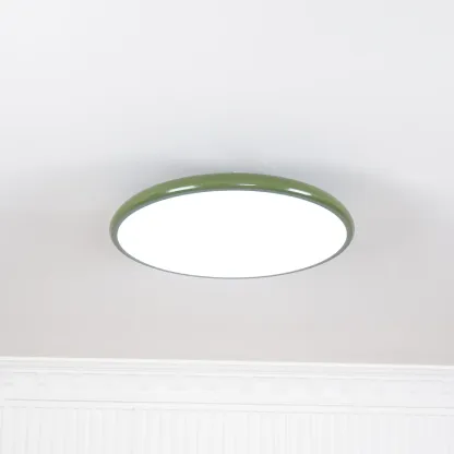 Hailie Minimalism Metal Acrylic Ceiling Lamp Bedroom Living Room