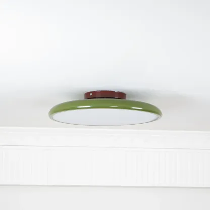 Hailie Minimalism Metal Acrylic Ceiling Lamp Bedroom Living Room