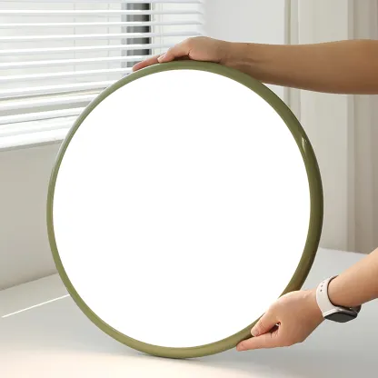 Hailie Minimalism Metal Acrylic Ceiling Lamp Bedroom Living Room