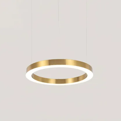 Arisha Modern Unusual Metal Acrylic Pendant Light Dining Room Living Room