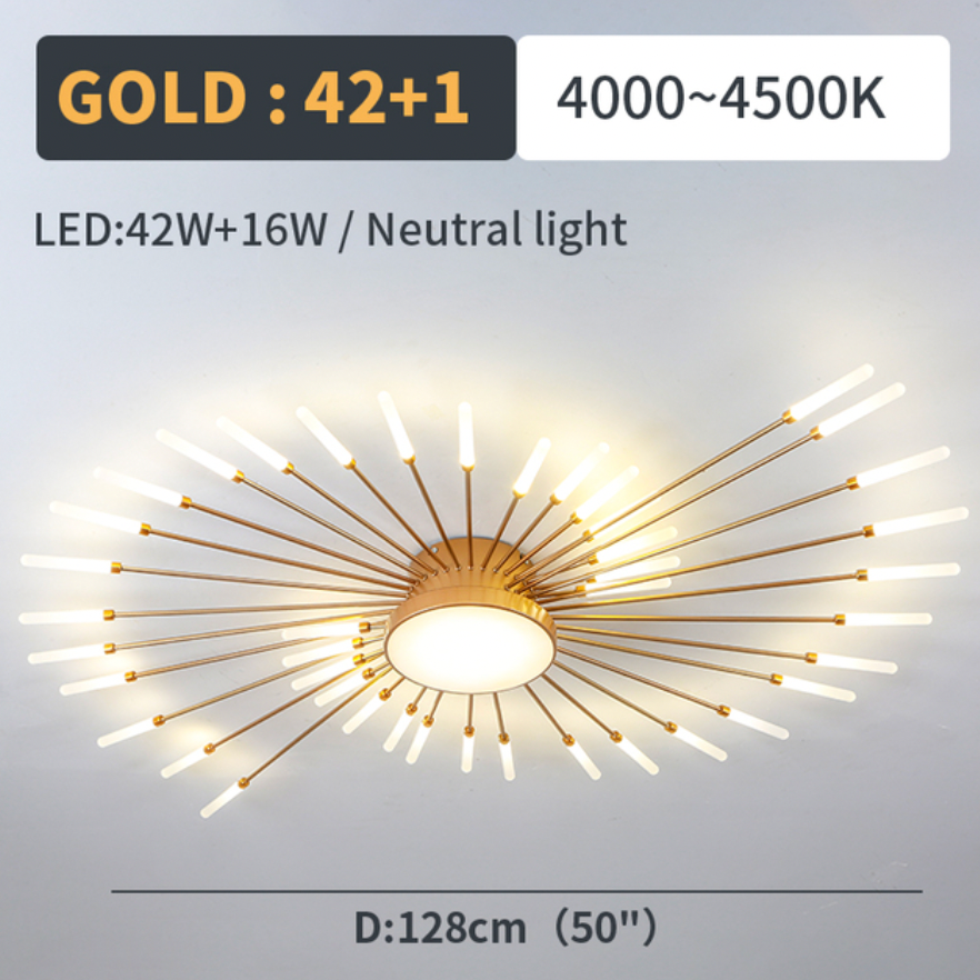 Lowry Modern Home Decoration Fireworks LED Ceiling Light