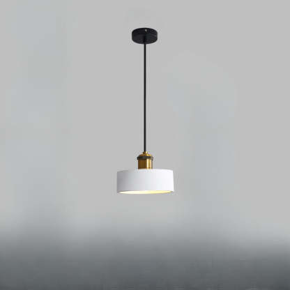 Hailie Modern Creative Industrial Style Pendant Light Living Room