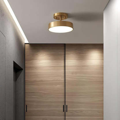 Edge Minimalism Round Metal Acrylic Brass Ceiling Light Living Room Hallway