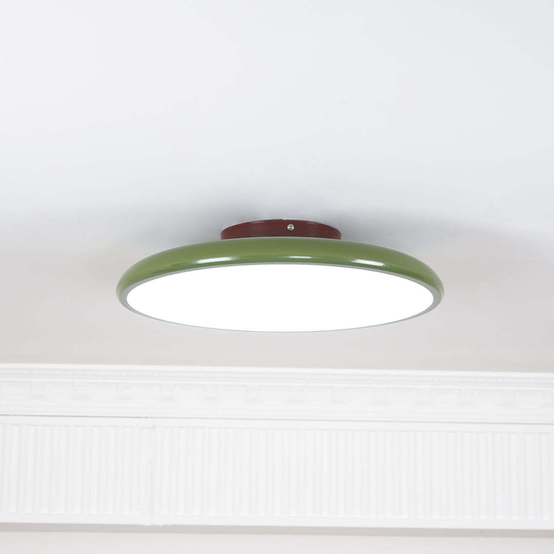 Hailie Minimalism Metal Acrylic Ceiling Lamp Bedroom Living Room