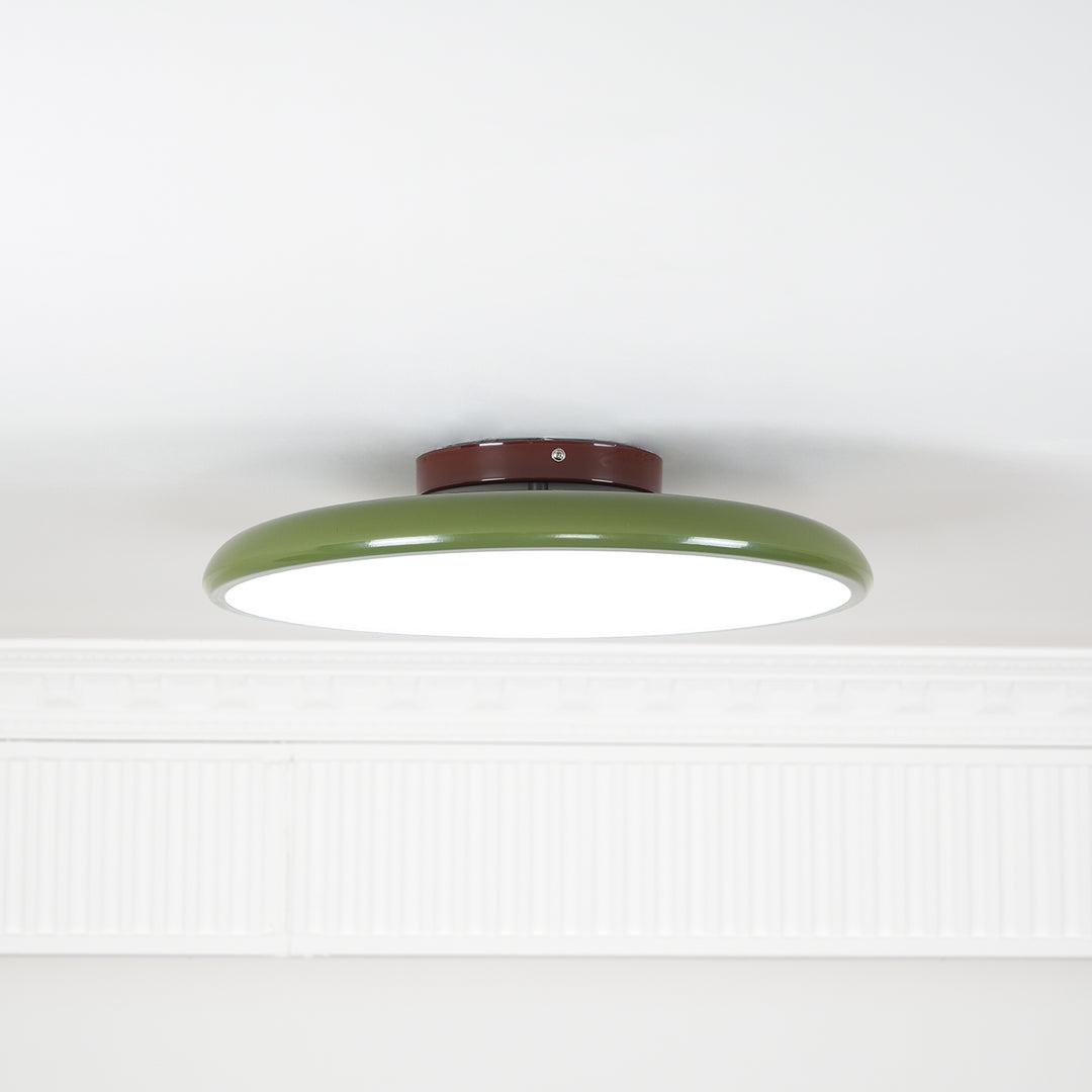 Hailie Minimalism Metal Acrylic Ceiling Lamp Bedroom Living Room