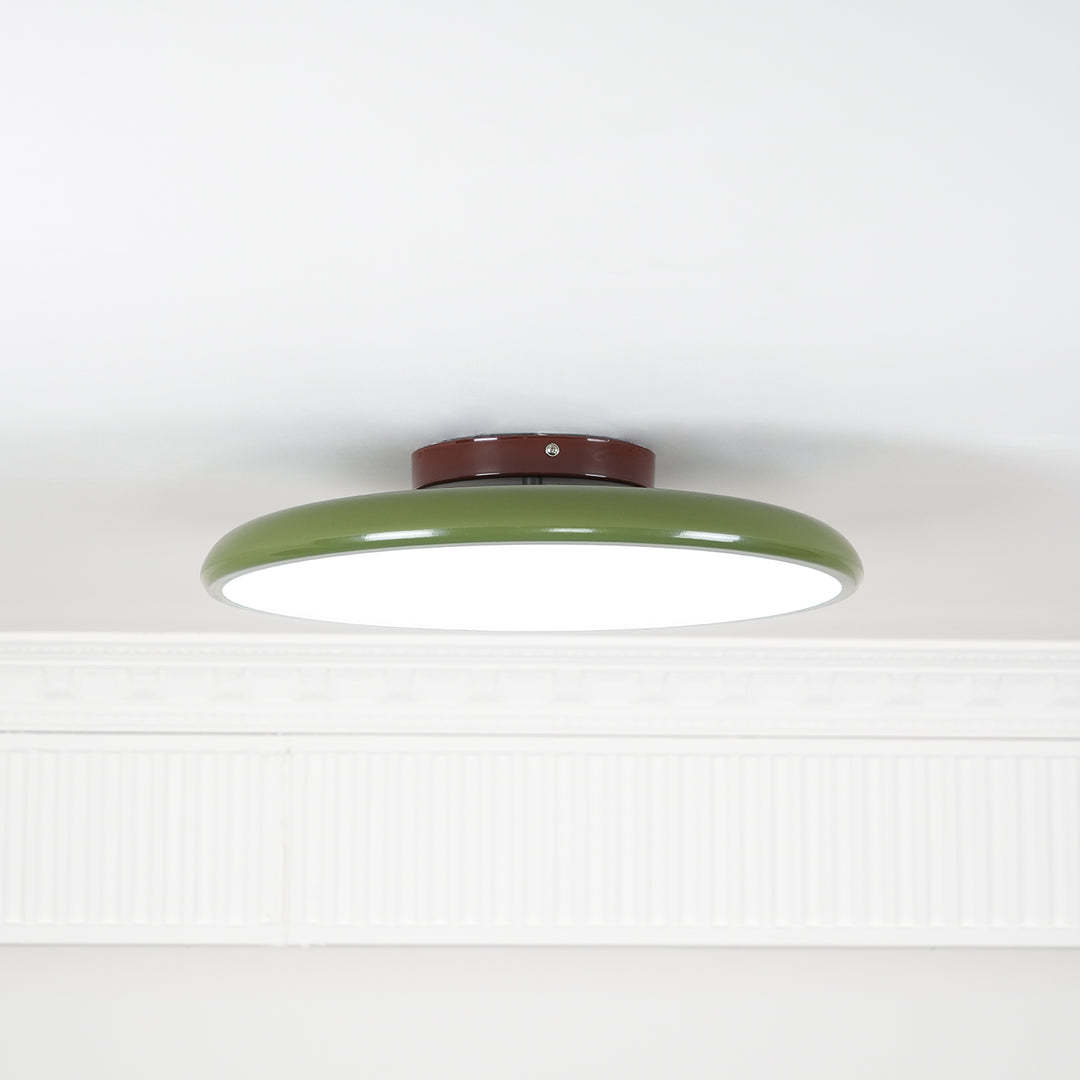 Hailie Minimalism Metal Acrylic Ceiling Lamp Bedroom Living Room