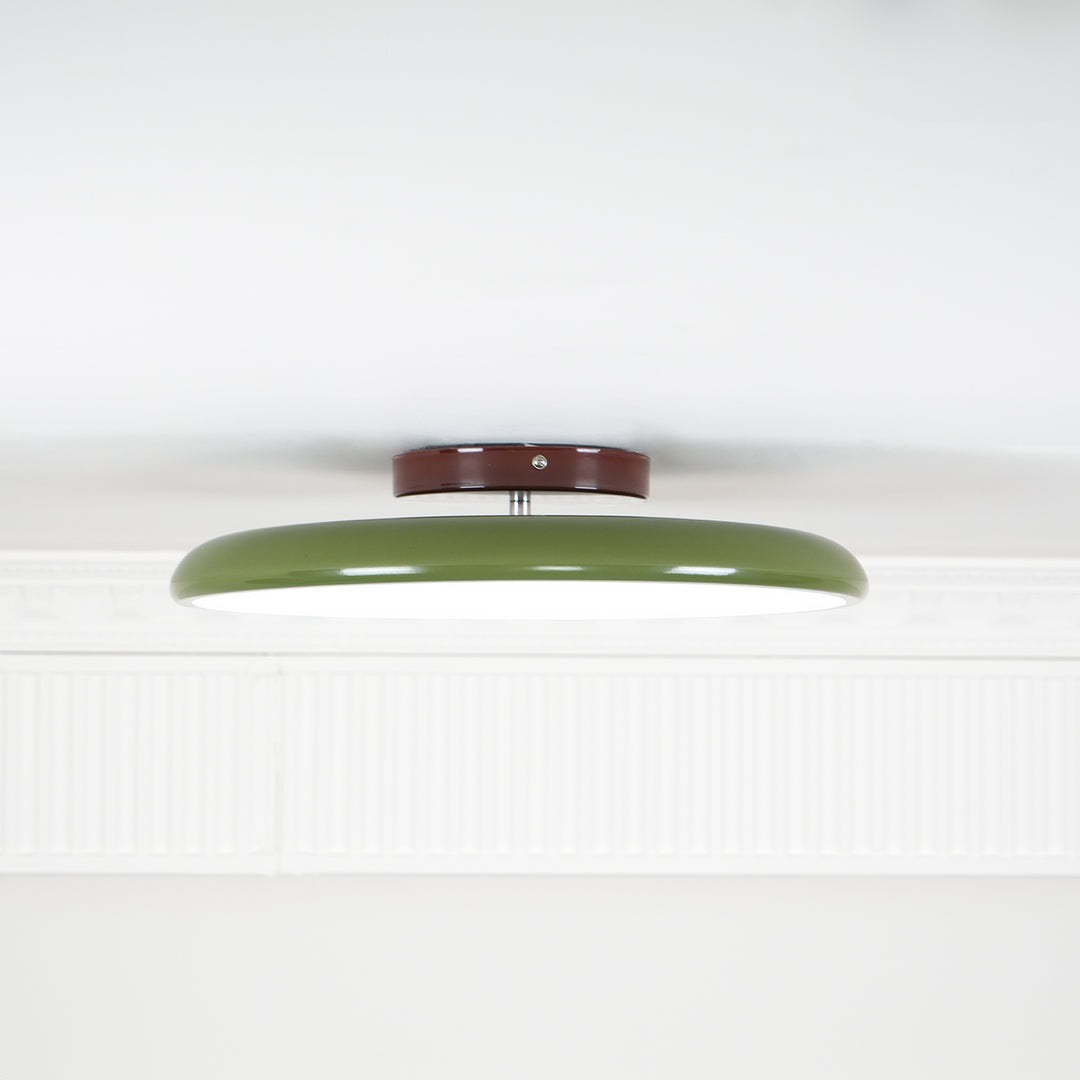 Hailie Minimalism Metal Acrylic Ceiling Lamp Bedroom Living Room