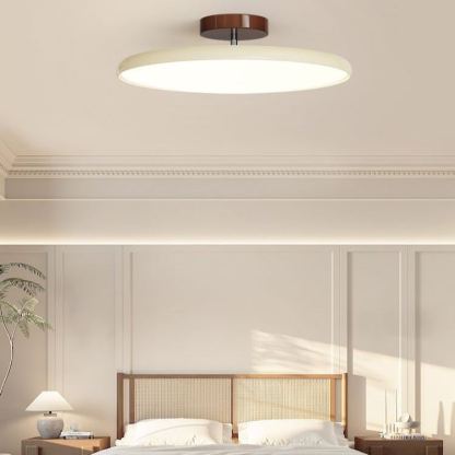Hailie Minimalism Metal Acrylic Ceiling Lamp Bedroom Living Room