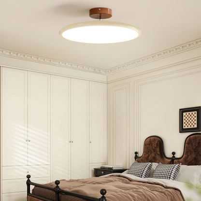 Hailie Minimalism Metal Acrylic Ceiling Lamp Bedroom Living Room