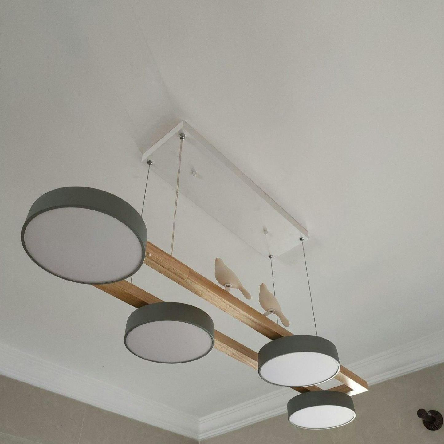 Morandi Modern Metal Wood Resin Acrylic Pendant Light Dining Room Bedroom