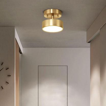 Edge Industrial Round Metal Acrylic Brass Ceiling Light Living Room Hallway