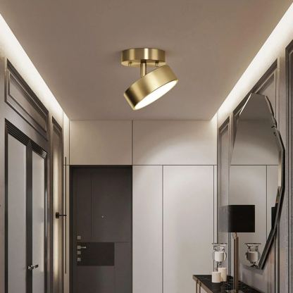 Edge Industrial Round Metal Acrylic Brass Ceiling Light Living Room Hallway