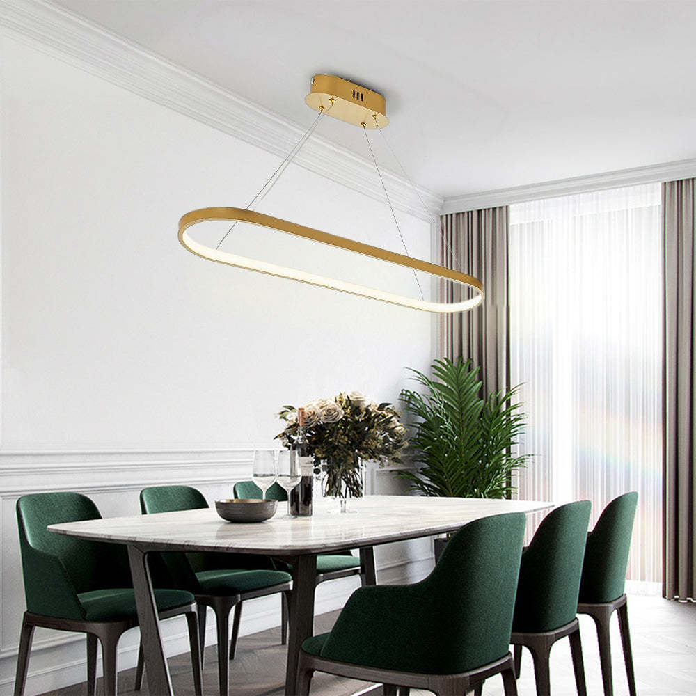 Edge Minimalist Oval Interior Hanging Pendant Light