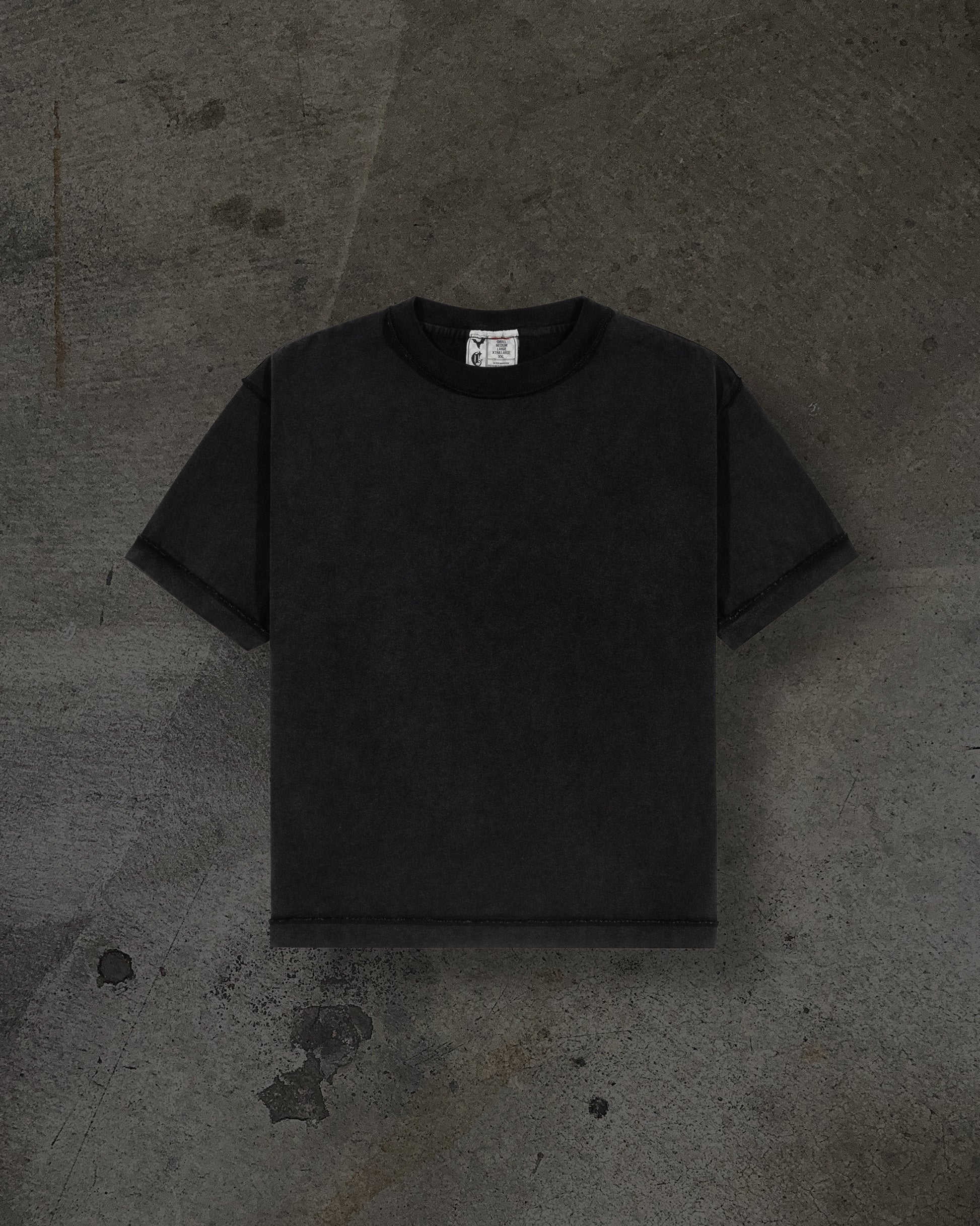 CORVIDITCH TOUR TEE (COAL)-IYAMIUIO