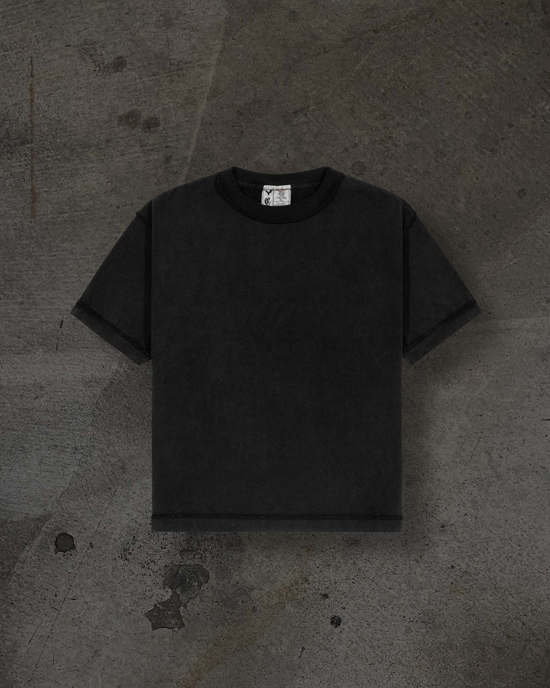 CORVIDITCH TOUR TEE (COAL)-IYAMIUIO