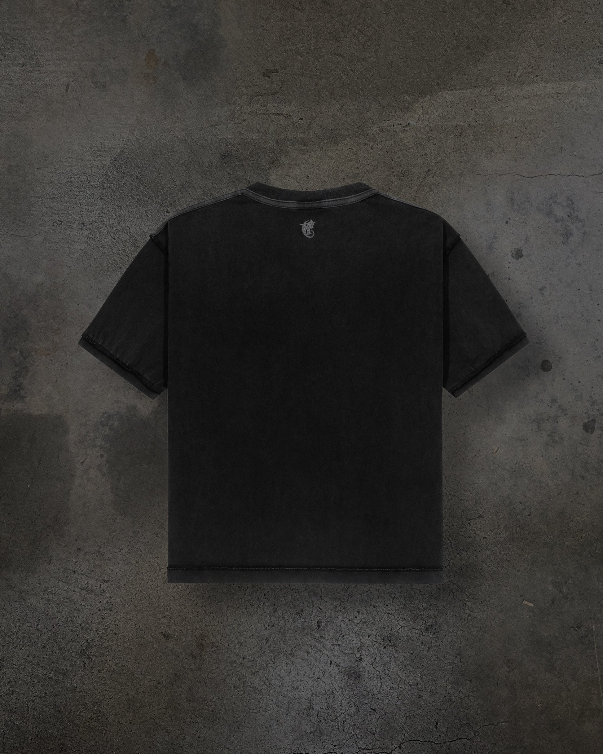 CORVIDITCH GRAPHIC TEE (COAL)-IYAMIUIO
