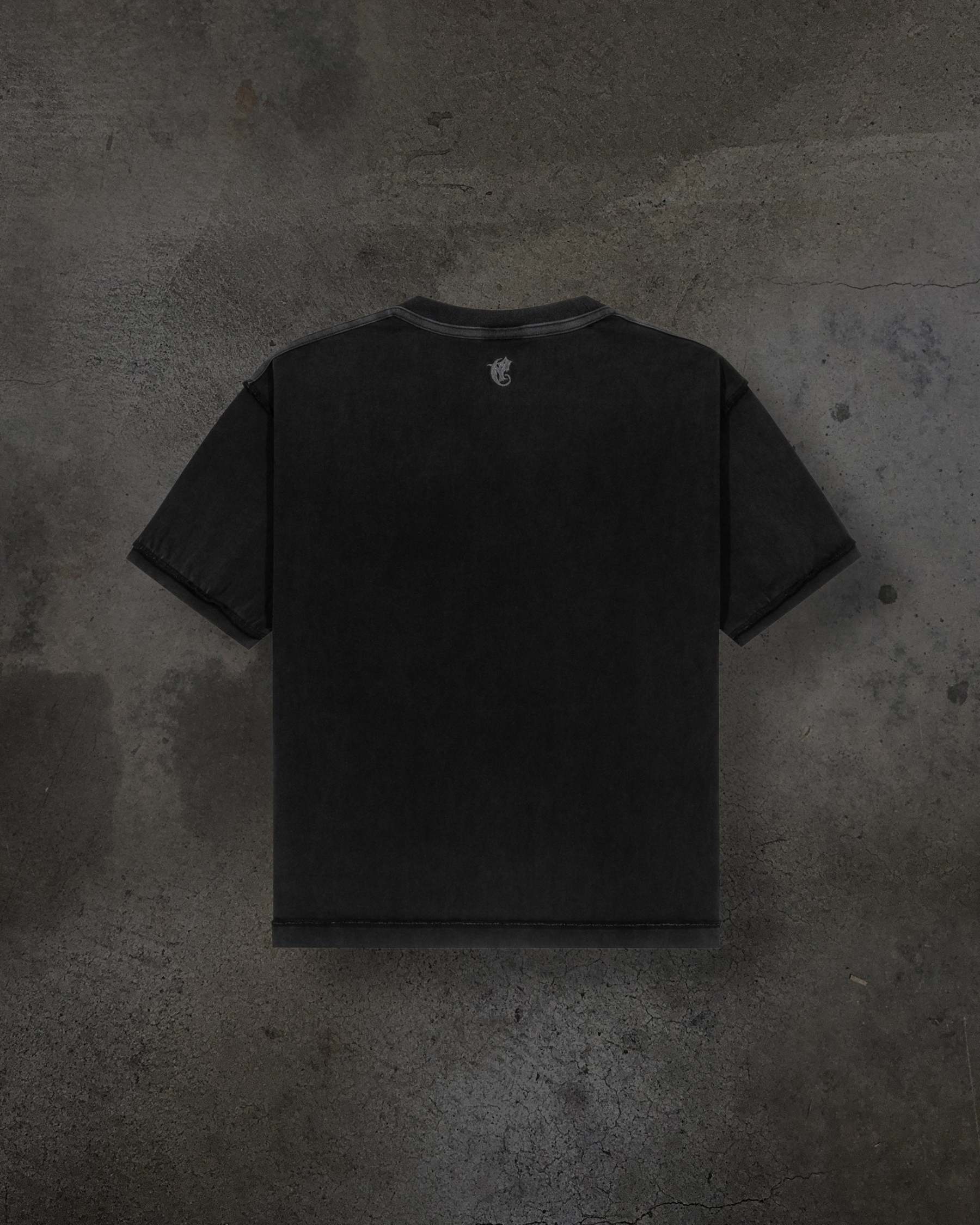 CORVIDITCH GRAPHIC TEE (COAL)-IYAMIUIO