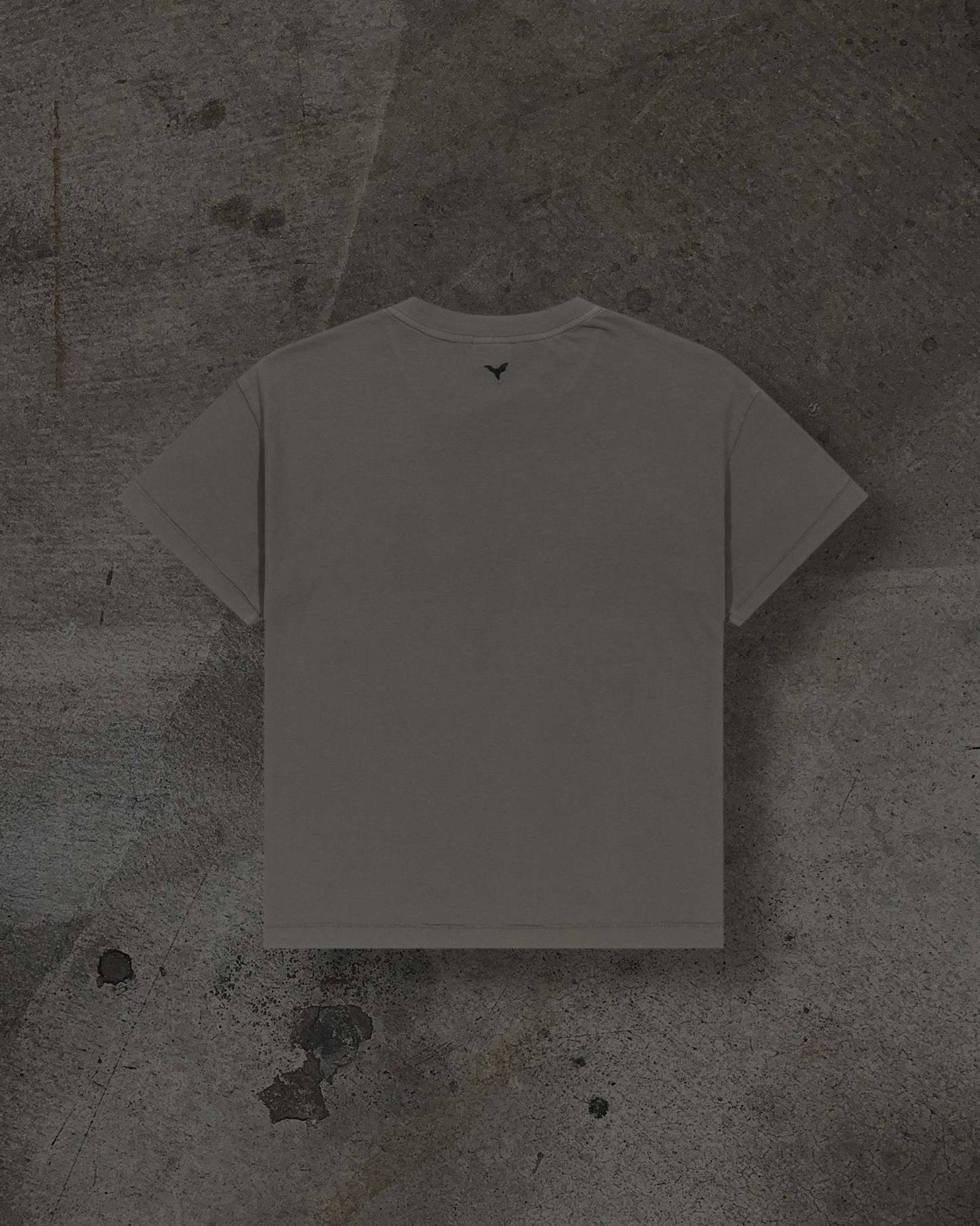 CROPPED BLANK TEE (CEMENT)-IYAMIUIO