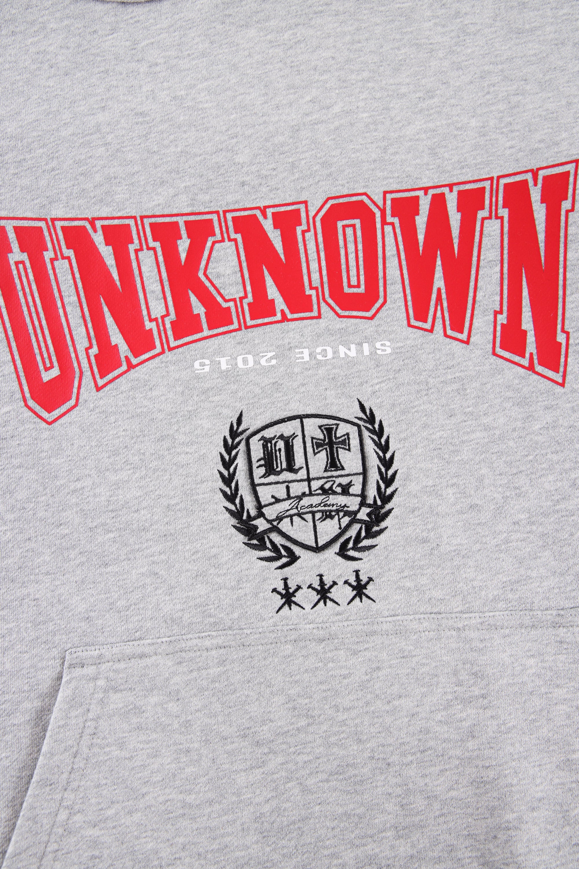 GREY BULLY HOODIE-IYAMIUIO