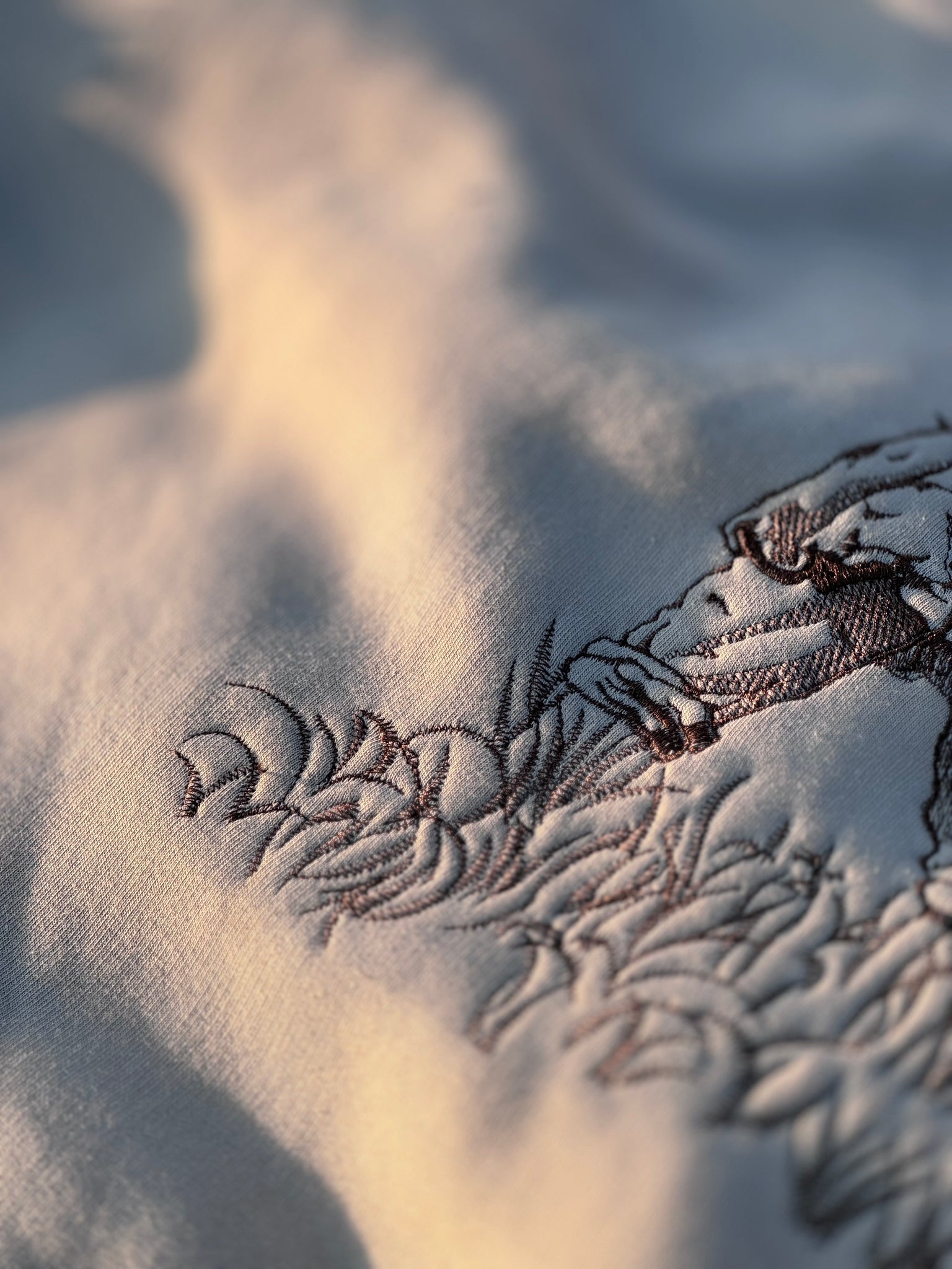 Vinland-Reversible V.S Hoodie-IYAMIUIO