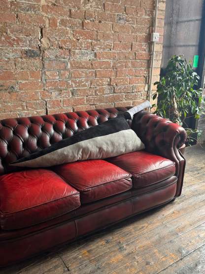 SWORD PILLOW-IYAMIUIO