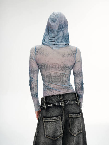 Personsoul Dragon Print Hooded Mesh Long Sleeve Top-IYAMIUIO