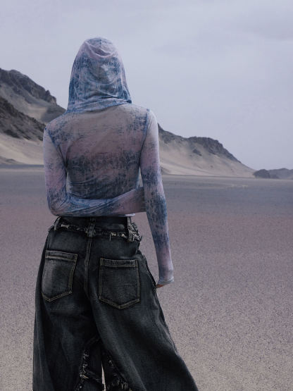 Personsoul Dragon Print Hooded Mesh Long Sleeve Top-IYAMIUIO