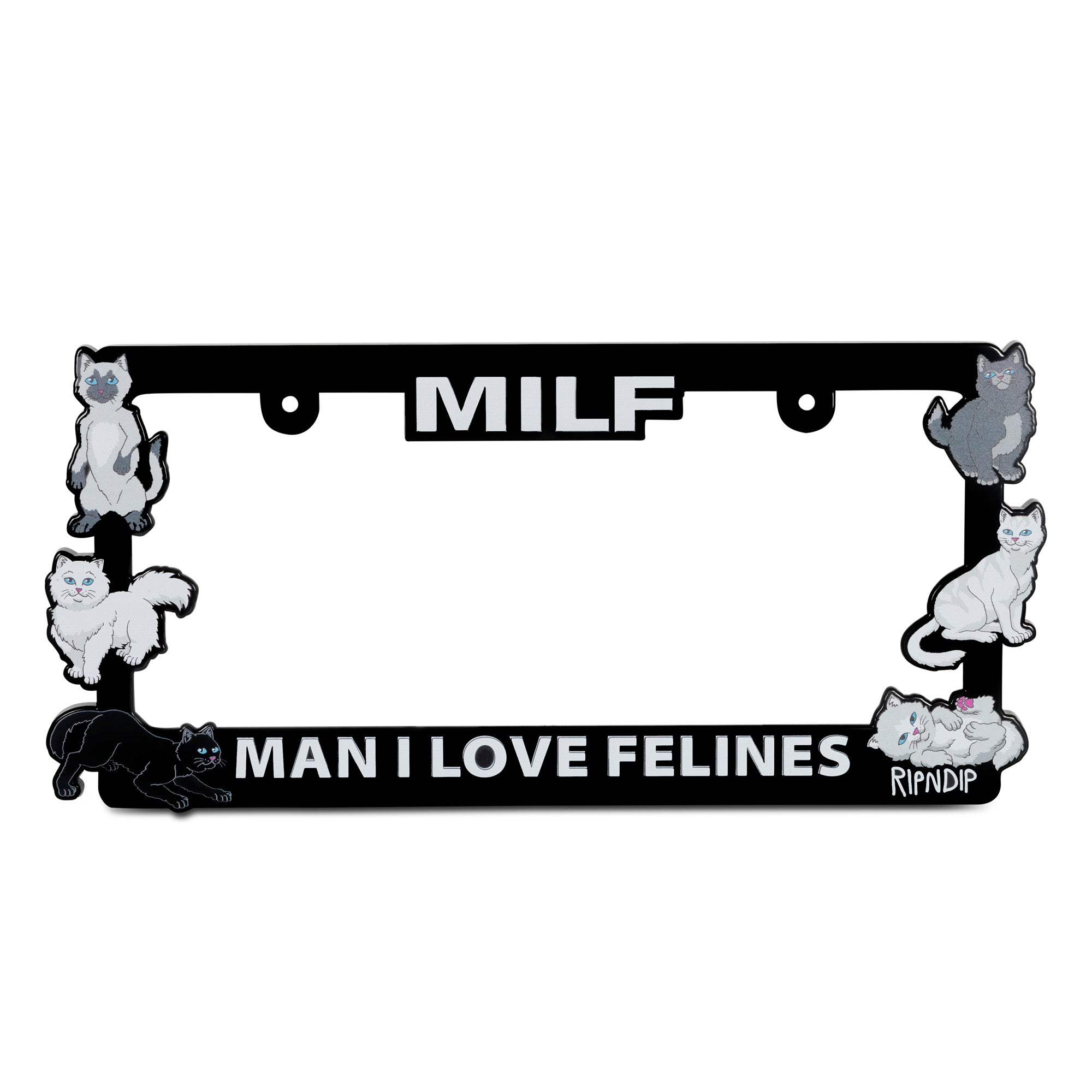 Man I Love Felines License Plate Holder (Black)-IYAMIUIO