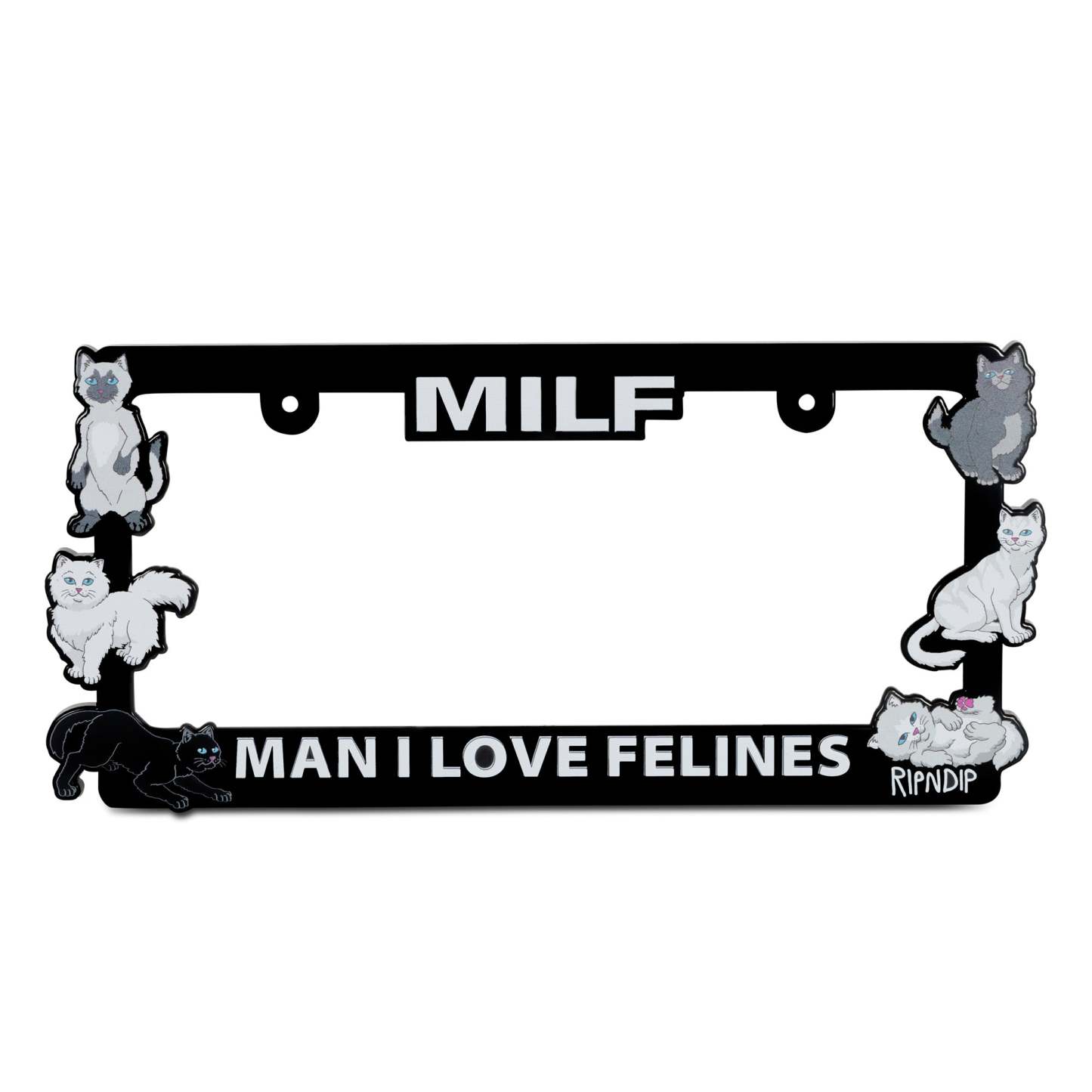 Man I Love Felines License Plate Holder (Black)-IYAMIUIO