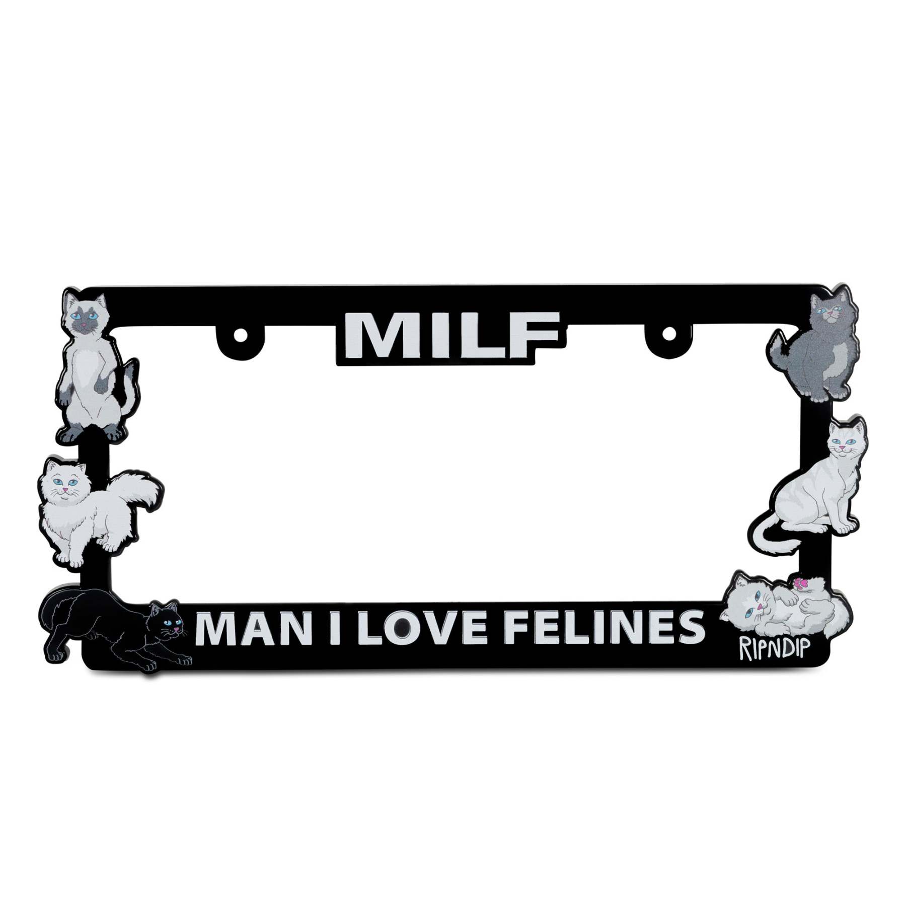 Man I Love Felines License Plate Holder (Black)-IYAMIUIO