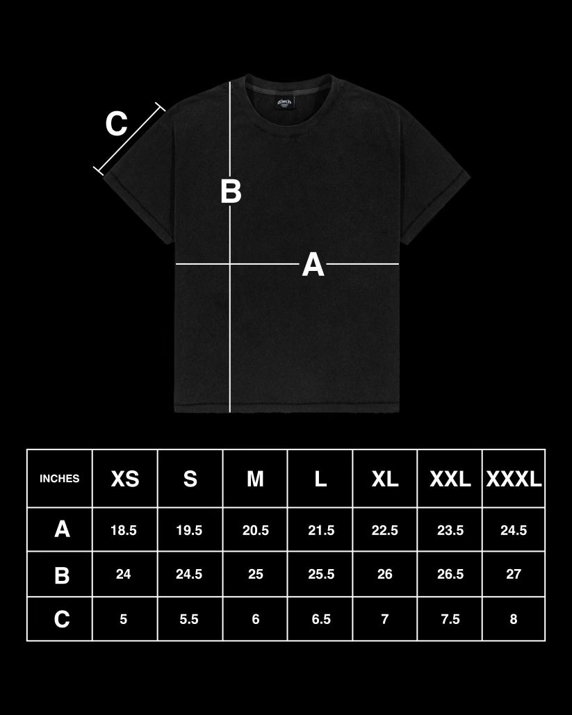 COLLEGE RINGER TEE (TINTED)-IYAMIUIO