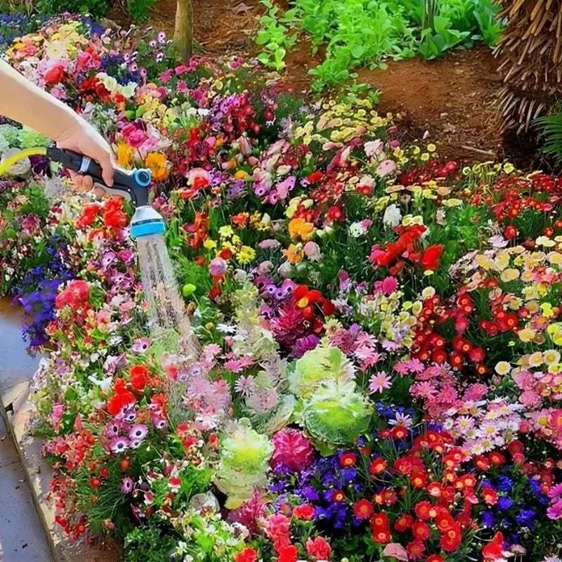 Mixed Perennial Flowers for All Seasons �?30+ Kinds