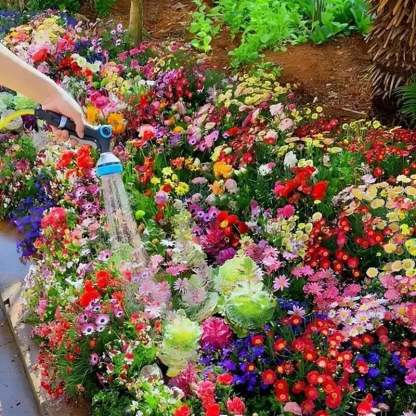 Mixed Perennial Flowers for All Seasons �?30+ Kinds