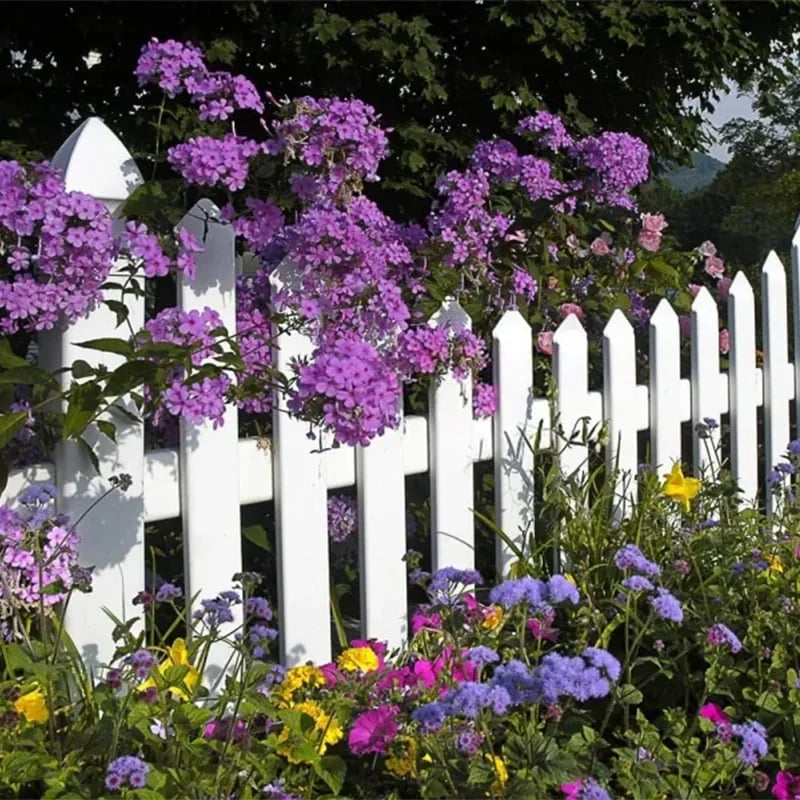 Mixed Perennial Flowers for All Seasons �?30+ Kinds