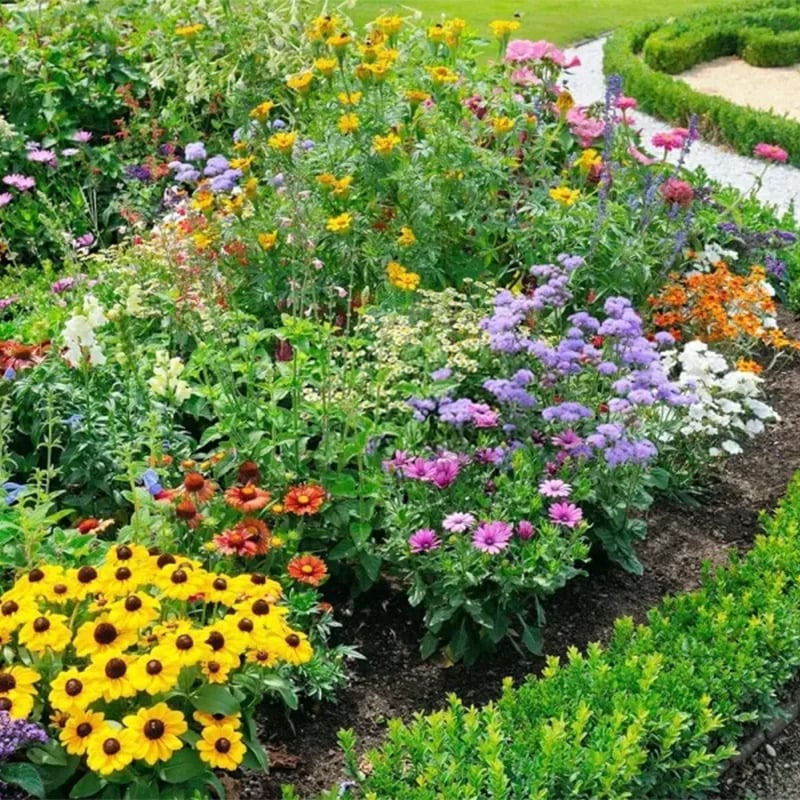 Mixed Perennial Flowers for All Seasons �?30+ Kinds